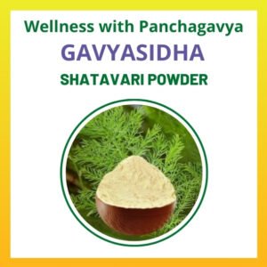 Shatavari Powder