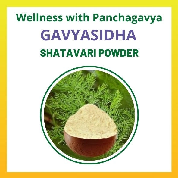 Shatavari Powder