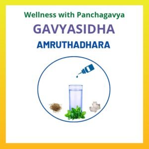 Amrutha Dhara