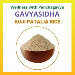 Kuji Patalia Rice