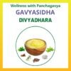 Divyadhara