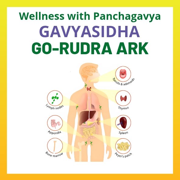 Go-Rudra Ark / Ugranarasimha Ark